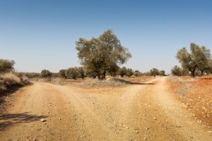 Bifurcation in a Country road
